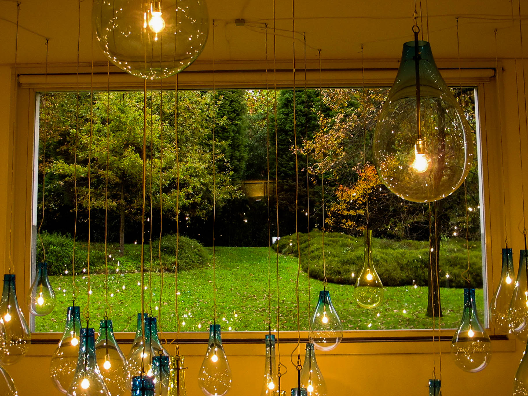 Different size light bulbs hanging in front of a generous window that shows the green park